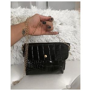 Mini bag with gold hardware!